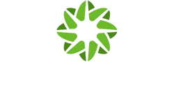 balance logo 250 1